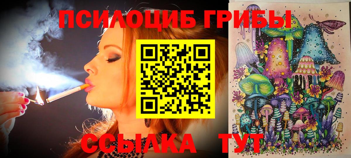 Галлюциногенные грибы MAGIC MUSHROOMS  Вход с VPN  Гуково  Псилоцибиновые грибы Psilocybine cubensis 